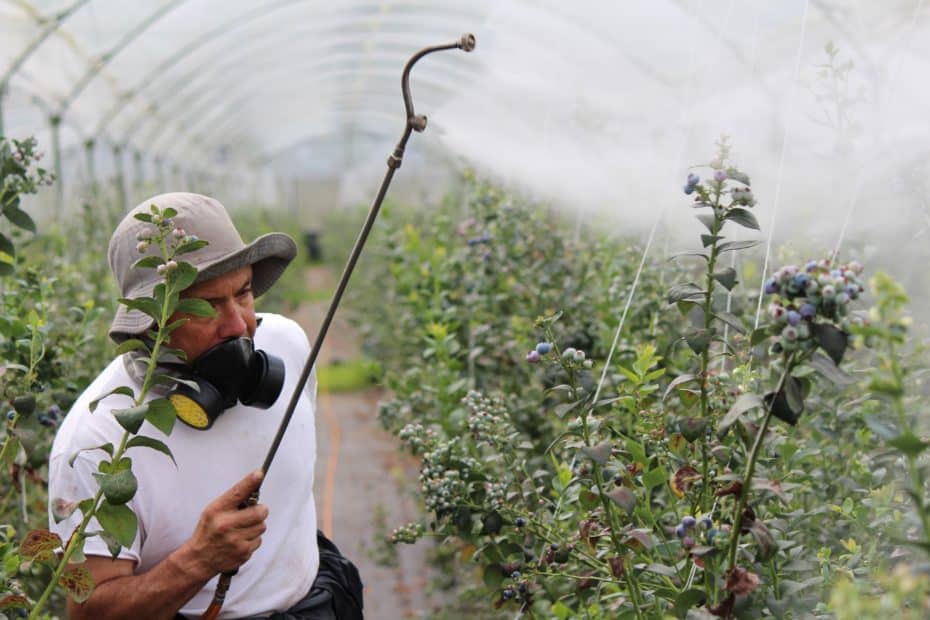 A man sprays pesticides on a field